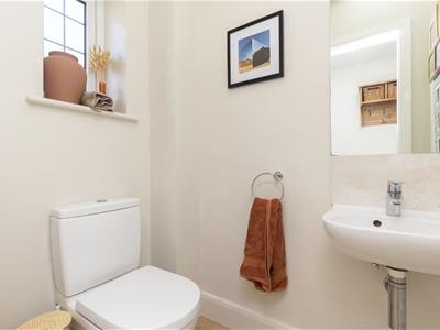 Picture 7